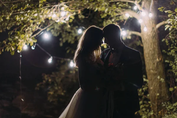 La silueta de los recién casados abrazados en el fondo del árbol decorado con pequeñas lámparas de guirnalda . —  Fotos de Stock