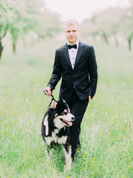 Brudgummen promenader med hunden i det gröna fältet. — Stockfoto