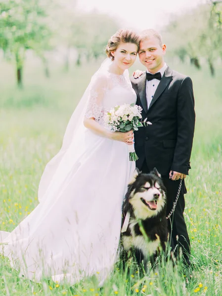 Das lächelnde Brautpaar verbringt seine Zeit mit dem Hund im sonnigen Wald. — Stockfoto