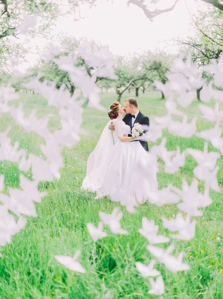Gli sposi felici si baciano dietro i cigni di carta nella foresta verde . — Foto Stock