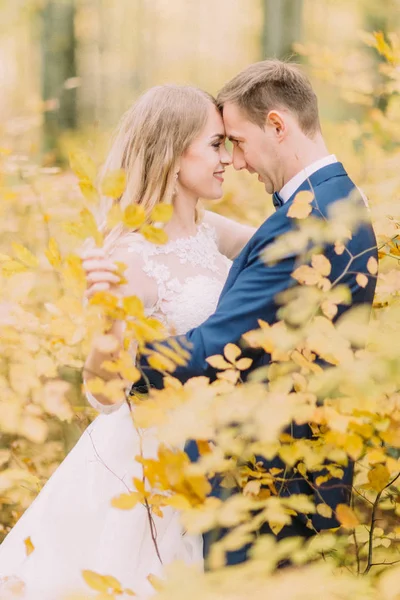 Half-length view of the newlywed couple standing head-to-head surrounded by yellowed trees. — Stock Photo, Image