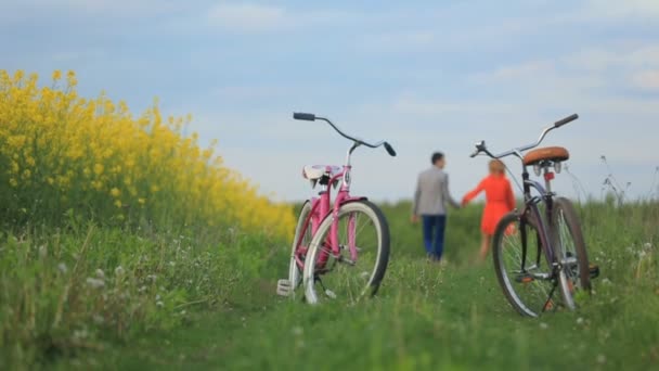 Close-up view of the two bicycles at the blurred background of loving couple holding hands while walking along the green field. — Stock Video
