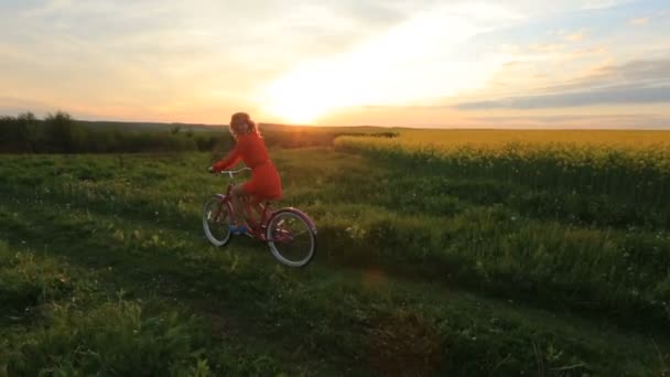 Happy loving couple is having fun while riding bicycles along the blooming field during the sunset. Ambiente romântico . — Vídeo de Stock