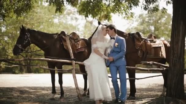 Full-length bruiloft portret van het mooie gevoelige paar, houdend handen en wrijven neuzen in de buurt van de paarden in het park. — Stockvideo