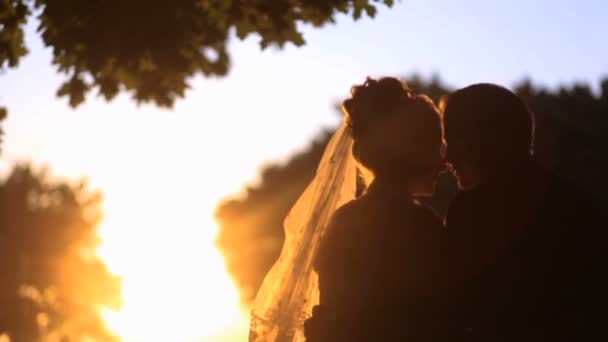 Sensitive rear view at the silhouettes of newlyweds in love tenderly rubbing noses during the sunset. — Stock Video