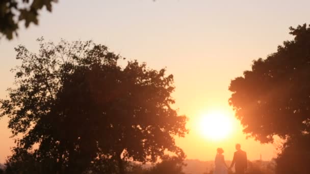 Achteraanzicht van de aantrekkelijke paar jonggehuwden verliefd teder hand in hand tijdens het wandelen en zoenen tijdens de gouden zonsondergang in het veld. — Stockvideo