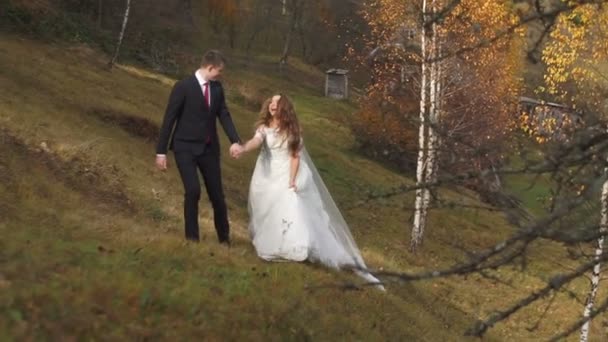 Pareja caminante de recién casados a lo largo del hermoso bosque en otoño . — Vídeo de stock