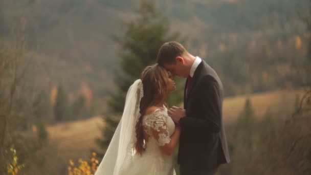 Halblanges einfühlsames Porträt des liebevollen Brautpaares, das zärtlich Händchen haltend lächelnd und Kopf an Kopf in den goldenen Bergen steht. — Stockvideo