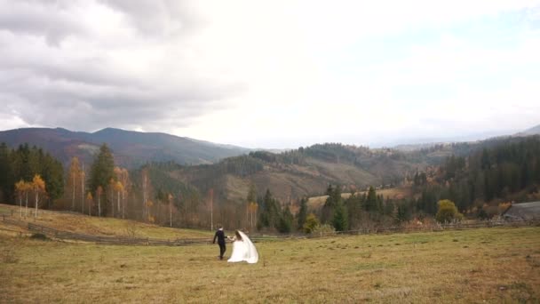 幻想的な山の黄金の草原を歩きながら手を繋いでいる新婚の若い魅力的な夫婦の後姿. — ストック動画