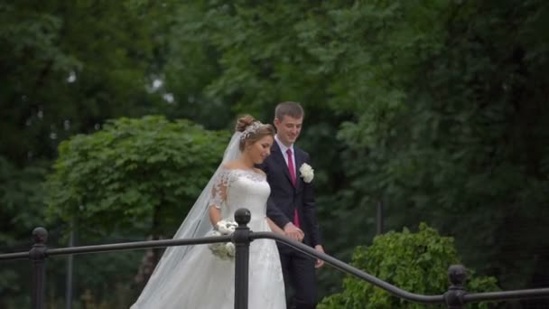 Increíble pareja de recién casados enamorados está felizmente hablando mientras camina por el floreciente jardín . — Vídeos de Stock