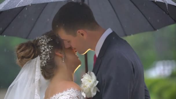 Handsome groom with peony boutonniere is kissing his pretty bride in cheek while standing under umbrella in the rain. — Stock Video