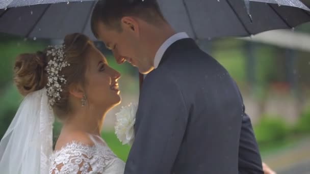 Romantisches Seitenporträt des glücklichen attraktiven Brautpaares, das sich zärtlich unter einem schwarzen Regenschirm im Regen die Nasen reibt. — Stockvideo