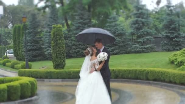 Αξιολάτρευτο ευτυχισμένο ζευγάρι νεόνυμφων είναι τρυφερά τρίβοντας τις μύτες και χαμόγελο στεμένος κάτω από ομπρέλα στην βροχή. — Αρχείο Βίντεο