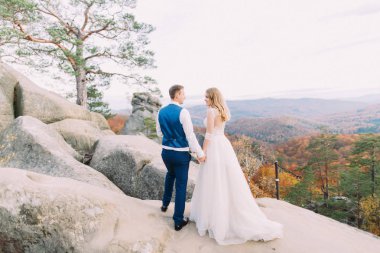 Mutlu yeni evli çift elele duran kayanın üzerinde. Arkadan görünüm.