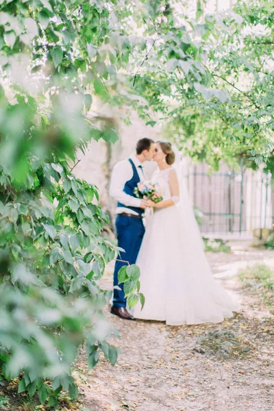 Os arbustos no foco no fundo borrado dos recém-casados beijando . — Fotografia de Stock