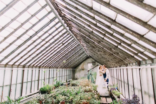 Foto horizontal dos recém-casados abraçados passando tempo na estufa . — Fotografia de Stock