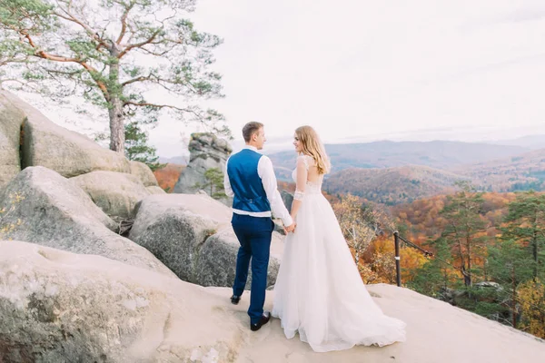 Mutlu yeni evli çift elele duran kayanın üzerinde. Arkadan görünüm.