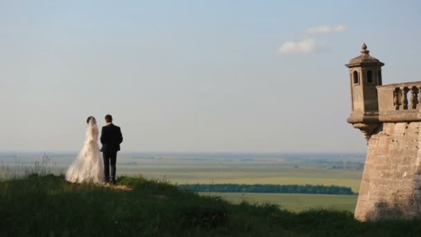 Schöner Bräutigam kommt zu seiner charmanten Braut und umarmt sie im Hintergrund der schönen Natur von Feldern und Burg. — Stockvideo