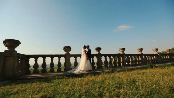 Ganzkörperansicht des jungen wunderschönen Brautpaares, das sich während des Sonnenuntergangs zärtlich am alten Zaun des Schlosses umarmt. — Stockvideo
