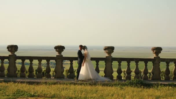 Happy loving couple of newlyweds is enjoying each other while hugging near the fence of old castle over the background of the beautiful fields. — Stock Video