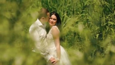 Yakışıklı damat yumuşak yanak yeşil çiçek açan alanındaki çekici esmer gelini öpüyor.