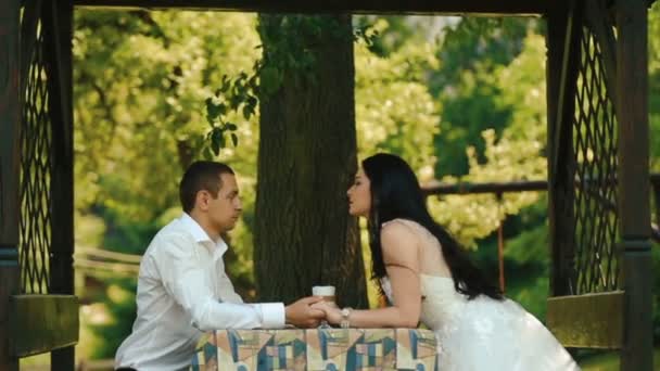 Cena romántica de la encantadora pareja de recién casados tiernamente tomados de la mano y besándose al aire libre . — Vídeo de stock