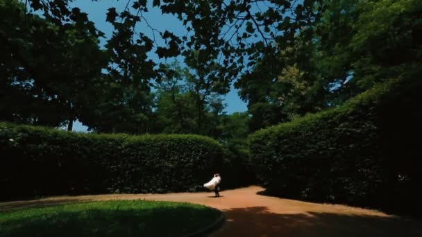 O noivo alegre está girando em torno de sua noiva atraente em vestido de casamento longo no jardim florescendo verde . — Vídeo de Stock