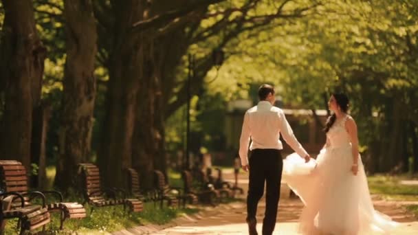 Blick von hinten auf das junge, stylische Brautpaar, das Händchen hält und durch den schönen, sonnigen Park spaziert. Prachtvolle Braut dreht ihre Runden. — Stockvideo
