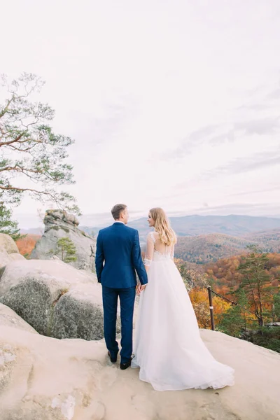 Vue arrière du couple nouvellement marié debout sur le rocher et profitant du paysage . — Photo