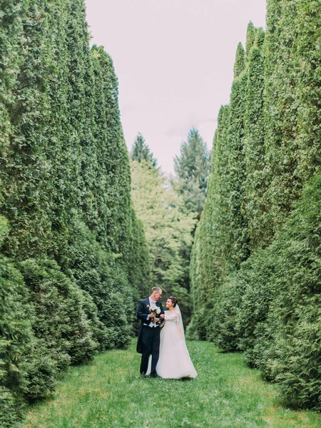 쾌활 한 신혼 부부는 높은 나무와 정원 산책. — 스톡 사진