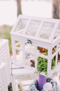 Antika ahşap kutu farklı otlar ile. Düğün dekorasyon.