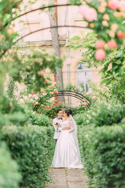 Os recém-casados abraçadores no lindo jardim de rosas . — Fotografia de Stock