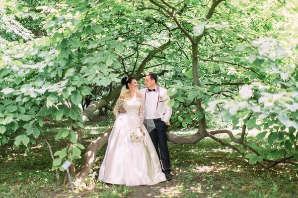 大きな緑の木の下で立っている幸せな新婚夫婦の水平方向のビュー. — ストック写真