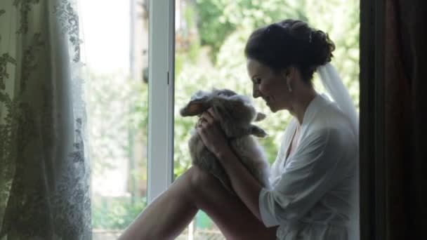 매력적인 신부 란제리-창틀에 앉아서 놀고 사랑 스러운 고양이의 아침. — 비디오