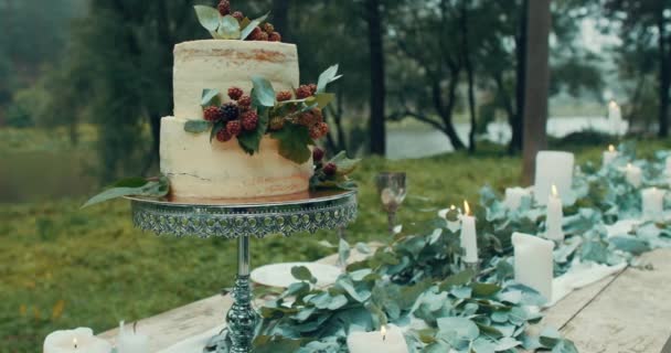 Romantic dinner served for two. Wedding composition: two-tiered cake with berries at the table decorated with candles, leaves and flowers in misty forest. 4k. — Stock Video