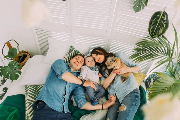 Η ανωτέρω άποψη της οικογένειας ξαπλωμένη στο κρεβάτι με το παιδί και το κουνέλι σε ένα δωμάτιο γεμάτο από φυτά. — Φωτογραφία Αρχείου