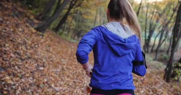 Läuferin im Park. schöne Frau in blauer Jacke und anderer Fitnessbekleidung hört der Musik zu, während sie im sonnenverwöhnten Park auf den fallenden Blättern läuft — Stockvideo