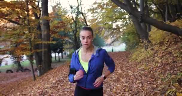 Corredor feminino no parque. Mulher bonita em casaco azul e outras roupas fitness escuta a música enquanto ela corre sobre as folhas caídas no parque cheio de sol — Vídeo de Stock