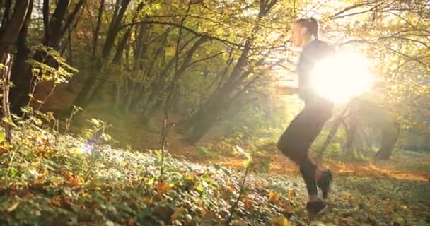 Робота в парку. Жінка, одягнена в біговий костюм, виконує біг на місці в осінньому парку, повний ранкового сонячного світла — стокове відео