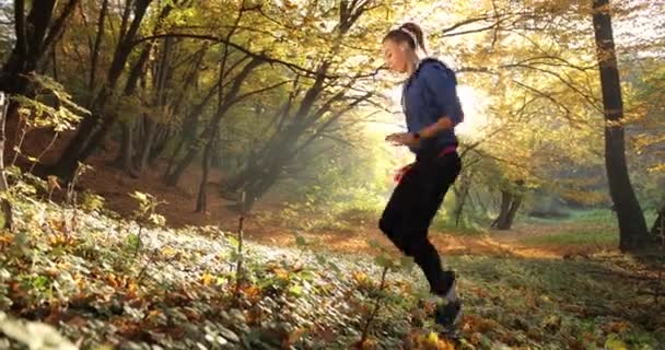 Робота в парку. Жінка, одягнена в біговий костюм, виконує біг на місці в осінньому парку, повний ранкового сонячного світла — стокове відео