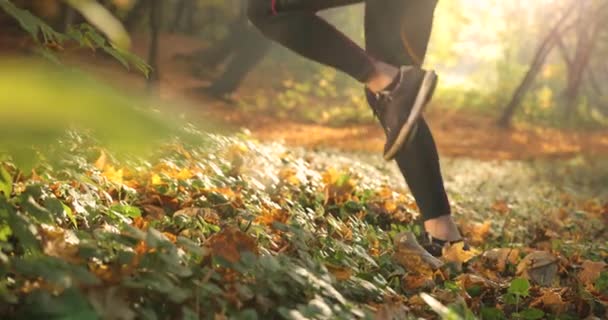 Бегунья в осеннем парке. Крупный план женских ног в костюме бегуна трусцой и сникерсов, бегающих по опавшим листьям в парке — стоковое видео