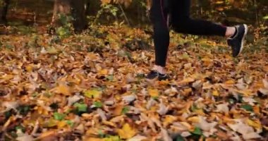 Kadın atlet sonbahar bir park. Takım elbise ve bir parkta düşen yapraklar üzerinde çalışan snickers koşu içinde kadının bacakları Close-up