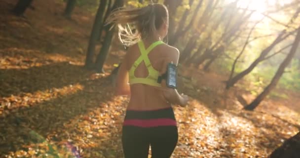 Női futó a parkban. Süt a nap több mint a szabadidő ruha, míg ő a zenét hallgat, és fut végig az utat a gyönyörű nő borított lehullott levelek — Stock videók