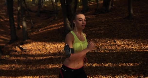 Kvinnliga löpare i parken. Solen skiner över vacker kvinna i jogging suit medan hon lyssnar på musik och löper längs väg täckt med löv — Stockvideo
