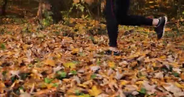 Läuferin in einem Herbstpark. Nahaufnahme von Frauenbeinen im Jogginganzug und Snickers, die auf dem fallenden Laub in einem Park laufen — Stockvideo