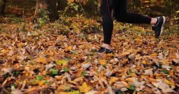 Läuferin in einem Herbstpark. Nahaufnahme von Frauenbeinen im Jogginganzug und Snickers, die auf dem fallenden Laub in einem Park laufen — Stockvideo