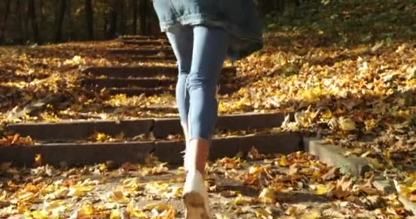 Αθλήτρια σε ένα Φθινοπωρινό πάρκο. Κοντινό πλάνο γυναικεία πόδια σε κοστούμι τζόκινγκ και snickers τρέχει στα αχνάρια καλυμμένο με τα πεσμένα φύλλα, σε ένα πάρκο — Αρχείο Βίντεο