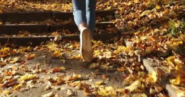 Kadın atlet sonbahar bir park. Takım elbise ve bir parkta düşen yapraklarla kaplı ayak üzerinde çalışan snickers koşu içinde kadının bacakları Close-up