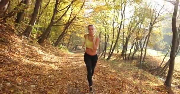 Läuferin im Park. Frau blickt geradeaus in die Kamera, während sie den Weg im herbstlichen Park entlang läuft, der mit abgefallenen Blättern bedeckt ist — Stockvideo