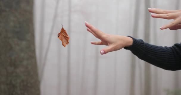 Autumn vibes. Foggy forest. Woman makes magic with fallen leaf. Hands close-up — Stock Video